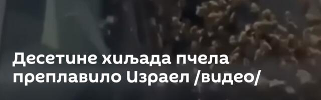 Десетине хиљада пчела преплавило Израел /видео/