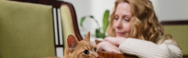 OVAKO MACE IZJAVLJUJU LJUBAV: 10 načina na koje mačke pokazuju vlasnicima da ih vole!