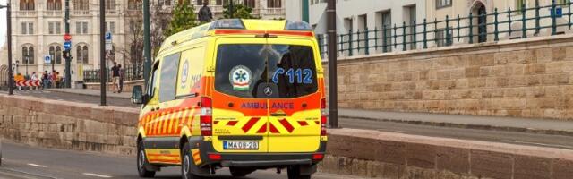 TRAGEDIJA Bračni par poginuo, četvoro dece povređeno