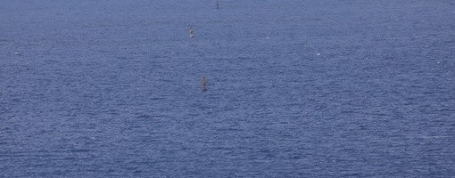 Iz Jadrana kod Visa uz podršku Ambasade Velike Britanije izvađena tona ipo otpada