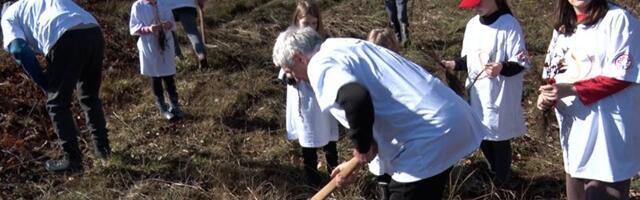 Volonteri i akcijaši pošumljavali Jelovu goru (VIDEO)