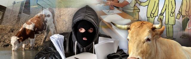 OD BIRAČA PA SVE DO KRAVA Zašto SNS voli FANTOME?