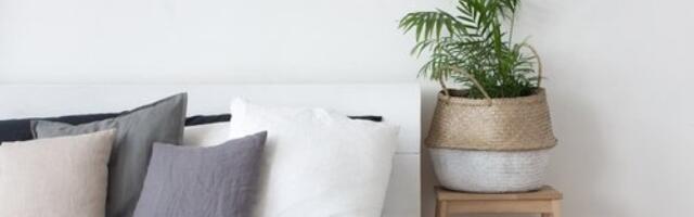 4 najgore sobne biljke za one koji pate od alergija: Ako ih držite u kući odmah ih izbacite