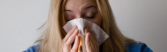 Studija: Ishrana može pogoršati (i ublažiti) simptome alergije