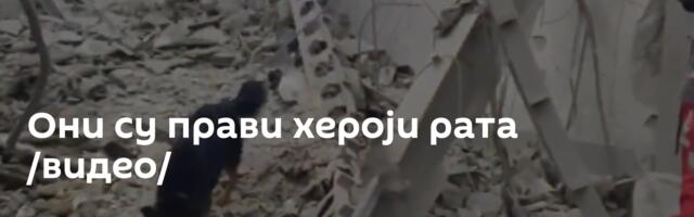 Они су прави хероји рата /видео/