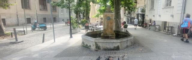 Haos i smeće ispred kafića Aje Jung (FOTO)