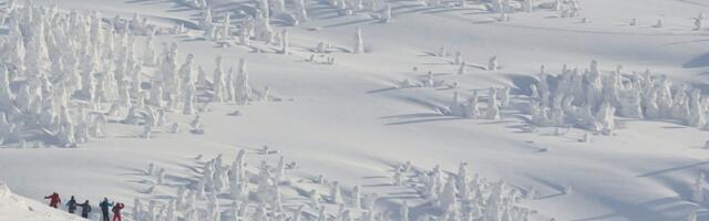 Hit snimak iz Futoga! Kad padne sneg, njima padne na pamet zabava: Njih trojica na sankama, a u rukama...