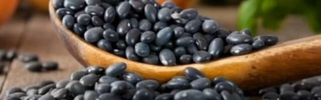 Šta se dešava u telu kada redovno jedete crni pasulj