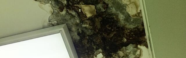 "Pančevačka bolnica simbol nemara i kriminala onih koji je vode" (FOTO)
