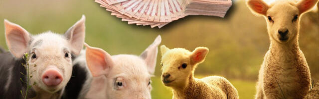 CENA PRASADI I JAGNJADI PAPARENA: Praznici sve bliži - trgovci rešili opasno da zarade!