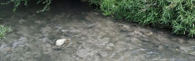 Pokret juga Srbije traži da se javno objave posledice izlivanja jalovine u Jablanicu po zdravlje ljudi