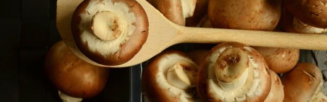 Ragu od leblebija i pečuraka na kremastoj palenti bez kapi ulja