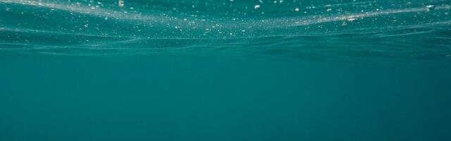 Misterija kod Novog Bečeja: Slano Kopovo krije ostatke drevnog mora starog milionima godina