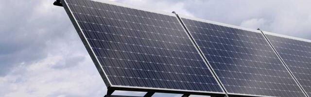 Linglong u Zrenjaninu gradi veliku solarnu elektranu