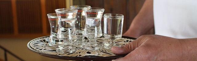 Ko pije rakiju iz Srbije: Najviše žestokih pića izvozi se u Hrvatsku