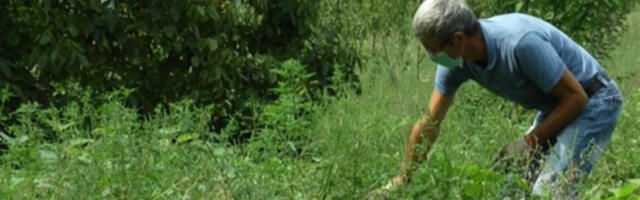 Stiže "najjači neprijatelj" svakog drogog Srbina: Ako osetite ove simptome, odmah se javite lekaru!