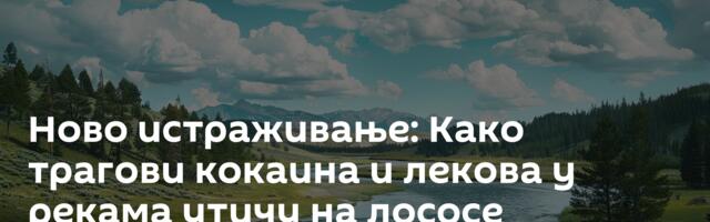 Ново истраживање: Како трагови кокаина и лекова у рекама утичу на лососе