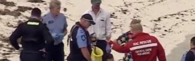 BELA AJKULA OD 5 METARA RASKOMADALA MUŠKARCA U PLIĆAKU: Turisti sve gledali, VRIŠTAO JE NA SAV GLAS (VIDEO)