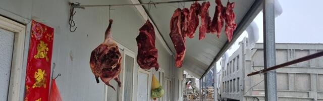 Кинески радници попримили наше обичаје па у кампу направили импровизоване сушаре за месо