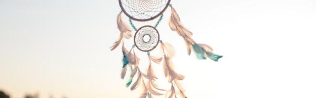 Napravite “Hvatač snova” od šustikle