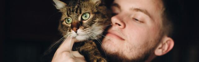 Ljudi koji imaju mačke su neverovatno inteligentni