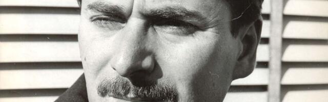 Lazar Vozarević: Oboženi prostori imaginacije