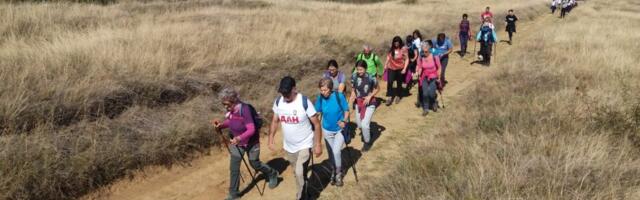 Na Dan pešačenja cela Srbija hoda – na jugu akcije u Nišu, Leskovcu i još nekoliko opština