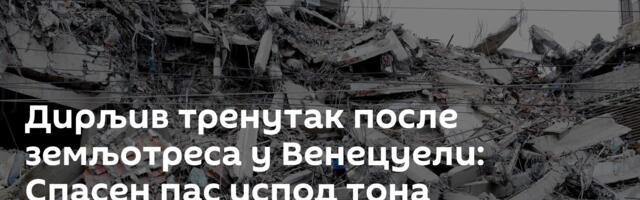 Дирљив тренутак после земљотреса у Венецуели: Спасен пас испод тона рушевина /видео/