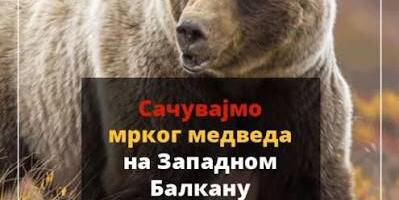 Eko straža: Nedopustiv odnos društva prema mrkom medvedu