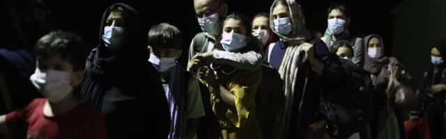 Tri Avganistanca umrla od hladnoće na granici sa Iranom: Tela pronađena tek dan kasnije u planinama Herata