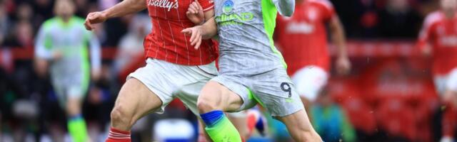 GRAĐANI SE NE ZAUSTAVLJAJU: Šerki rastužio Milenkovića - Siti srušio Notingem Forest