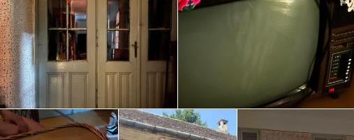 UZ KUĆU DOBILA I MOMKA! Kad je Sara odlučila da ode iz Beograda, našla jednu finu švapsku, a onda je njena sudbina u Gajdobri dobila filmski obrt!