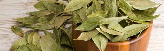 Evo zašto odmah treba da stavite lovor u mikrotalasnu: Rešiće vas velikog problema