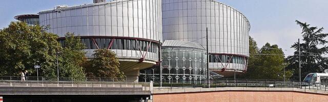 Srbija prekršila Konvenciju o ljudskim pravima zabranom protesta u vreme posete predsednika Kine