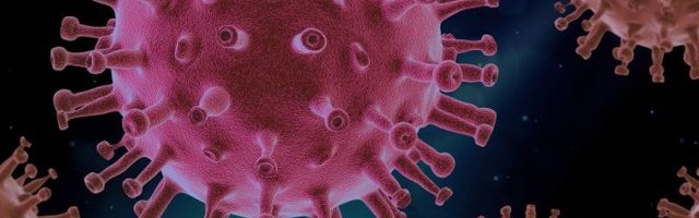 SPREMAJU "TROJANSKOG KONJA" ZA KORONU! Manevar sa vakcinom za male boginje mogao da bude SPAS u lečenju koronavirusa!