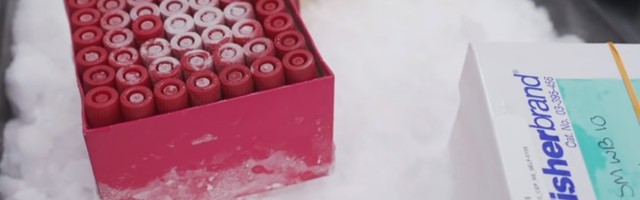 U Srbiju stiglo 23.750 doza Fajzer vakcine