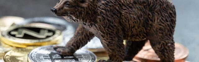 Šta je to ‘bear market’ i kako se povezuje sa drastičnim padom kriptovaluta?