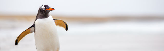 Četiri problema nove ekološke takse u Srbiji