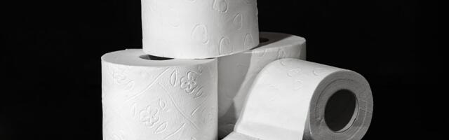 Pokretni toalet sa velike visine pao na most u Sevilji, samo čudom niko nije nastradao