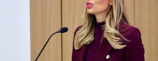 "LOGIKA BOLESNIKA JE DA PREDSTAVLJAJU DA JE ZA SVE KRIV VUČIĆ: Mesarović o napadima iz Hrvatske: Dosta više opskurnih likova