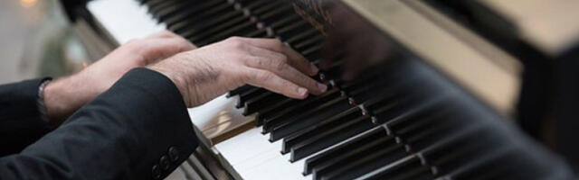 Концерт Стевана Спалевића