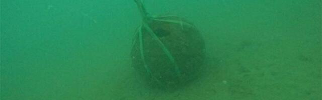 Ronioci pronašli smrtonosnu grdosiju u Jadranu: Težila je pola tone, morali su da je unište ODMAH