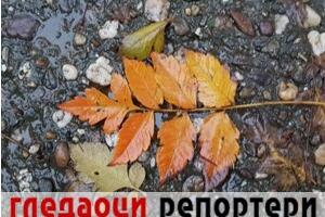 Гледаоци репортери (12. новембар 2022)