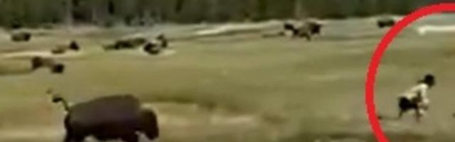 U trenutku se setila trika koji joj je spasao život! (VIDEO)