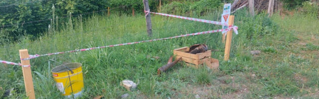 DRAMA U KRAGUJEVCU, PRONAĐENA RUČNA BOMBA I PROJEKTIL U KUĆI Tim za uništenje izlazi na teren