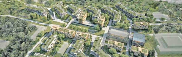 Не­ће би­ти по­се­че­но ни­јед­но ви­тал­но др­во