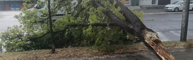 Nakon nevremena grad ostao u haosu: Oborena stabla, ulice zakrčene, struja i voda pravili probleme!