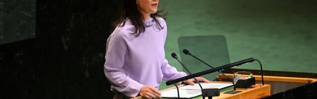 Berbok u UN o Srebrenici: Genocid ne počinje ubistvima, već mržnjom i diskriminacijom