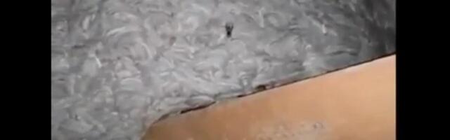 Kad su videli šta im je u kući, odmah su pozvali Danijela - šok nastupio kada je sišao s tavana i pokazao im ruke!