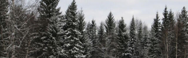 Киша у нижим, снег у планинским пределима